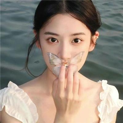 水牛骑士